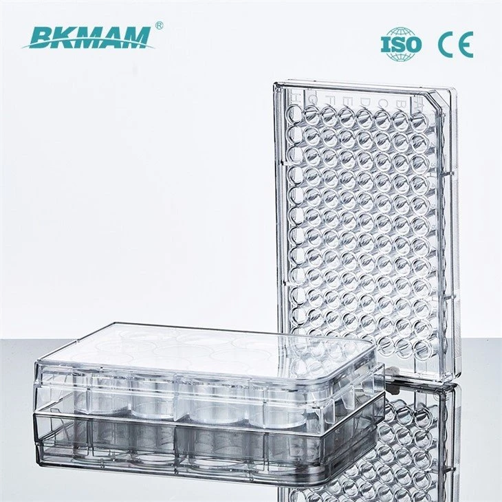 cell culture plate