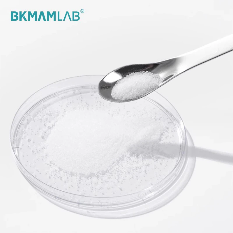 Laboratory Steel Spoon