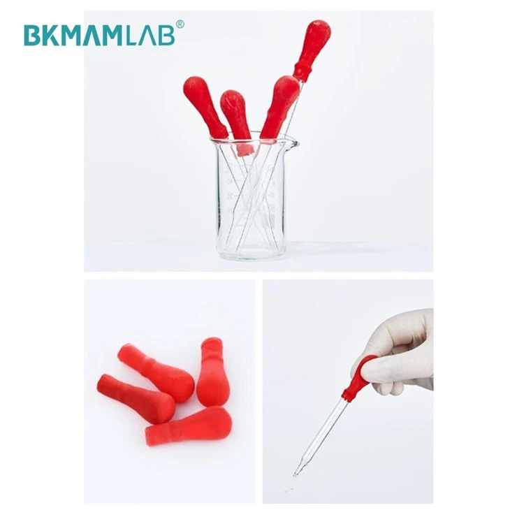 Pasteur Pipette With Rubber Glass Dropper
