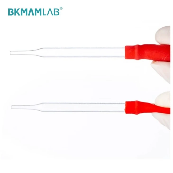 Pasteur Pipette With Rubber Glass Dropper