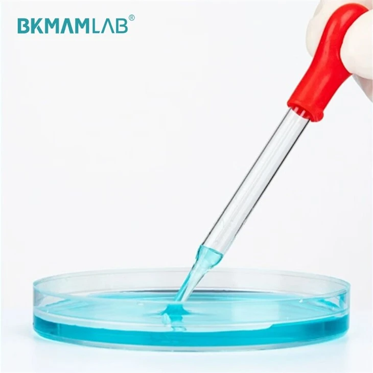 Pasteur Pipette With Rubber Glass Dropper